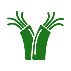 Electrical Cable Icon OConnor Electric